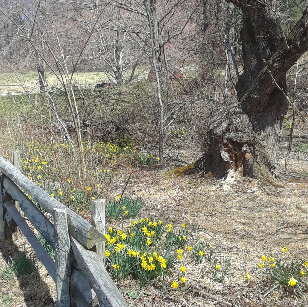 Meet your Posher, Maria